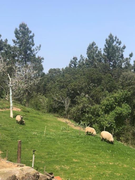 Quinta Da Casa Azul Villa Óbidos Buitenkant foto